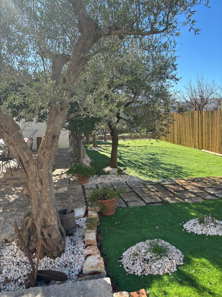 Trullo Vacanza Alberobello Eksteriør bilde