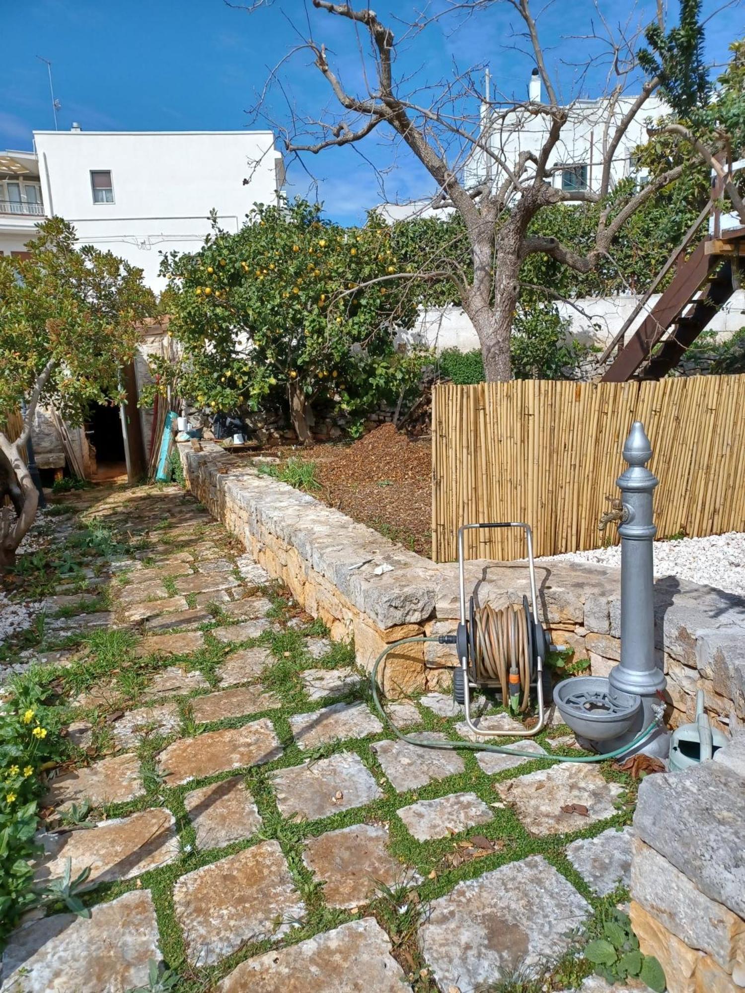 Trullo Vacanza Alberobello Eksteriør bilde