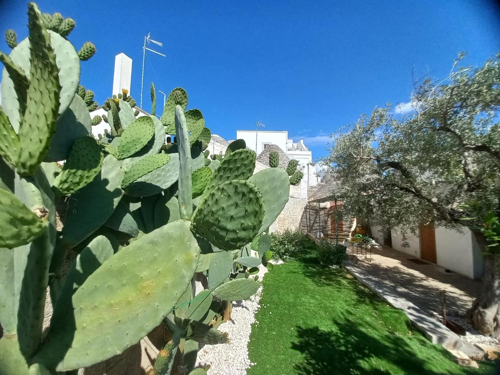 Trullo Vacanza Alberobello Rom bilde